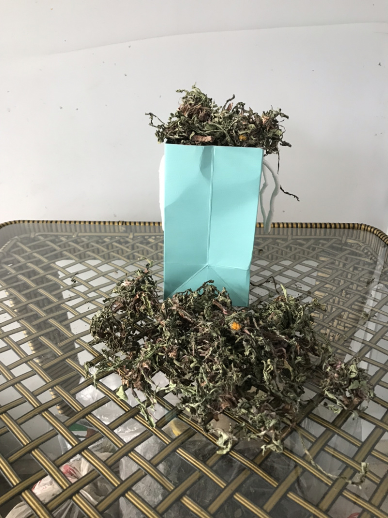 干蒲公英全草