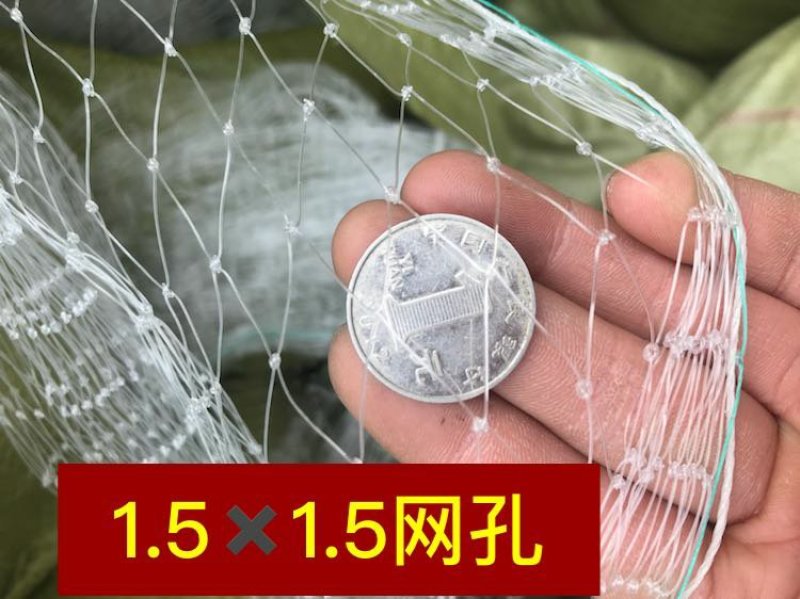 防鸟网果园鱼塘大鹏稻谷葡萄樱桃等任何需要防鸟的地方