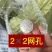 防鸟网果园鱼塘大鹏稻谷葡萄樱桃等任何需要防鸟的地方