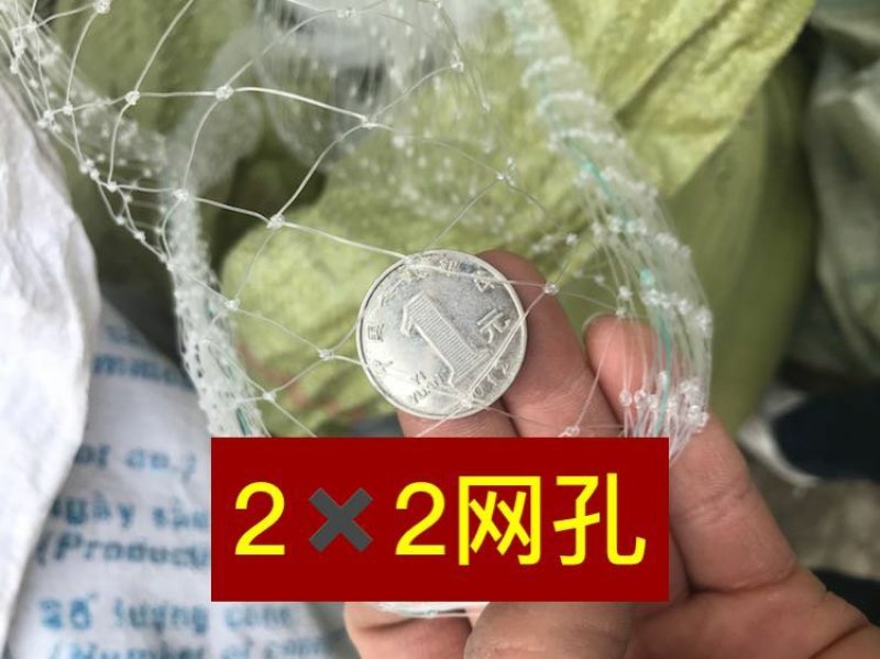 防鸟网果园鱼塘大鹏稻谷葡萄樱桃等任何需要防鸟的地方