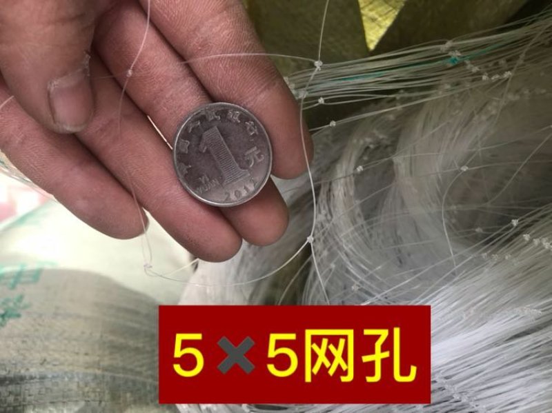 防鸟网果园鱼塘大鹏稻谷葡萄樱桃等任何需要防鸟的地方