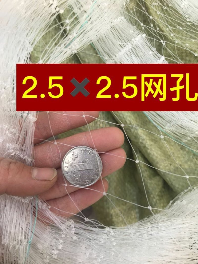 防鸟网果园鱼塘大鹏稻谷葡萄樱桃等任何需要防鸟的地方