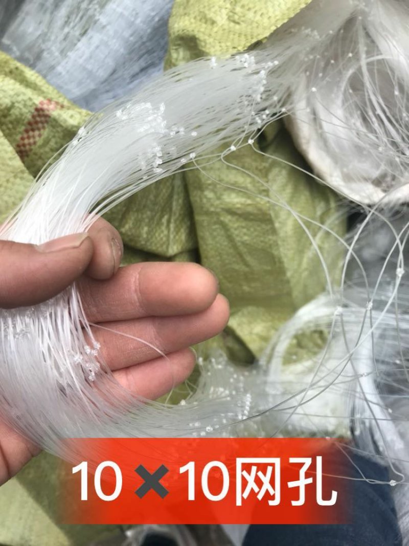 防鸟网果园鱼塘大鹏稻谷葡萄樱桃等任何需要防鸟的地方