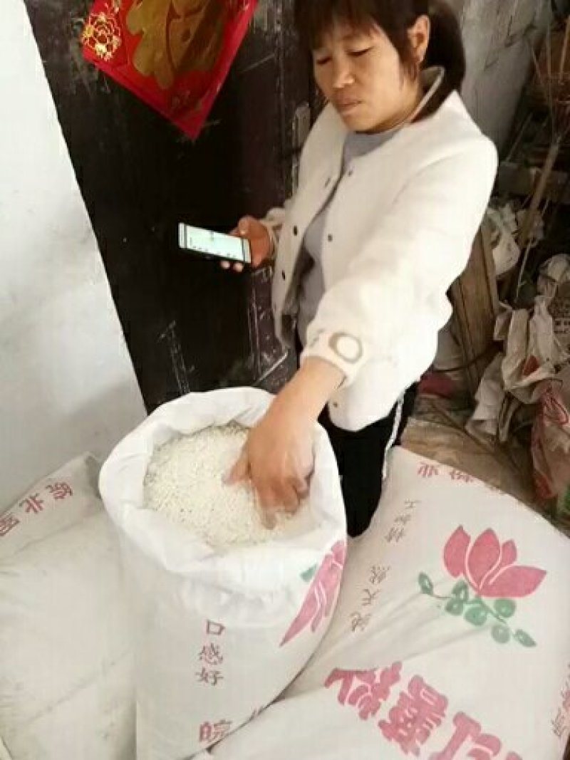 藕粉条洋芋条农副食品土豆粉条葛根地瓜绿豆粉条销量合作全网