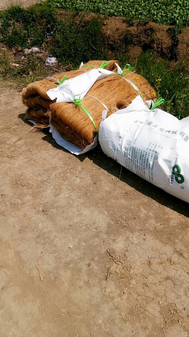 藕粉条洋芋条农副食品土豆粉条葛根地瓜绿豆粉条销量合作全网