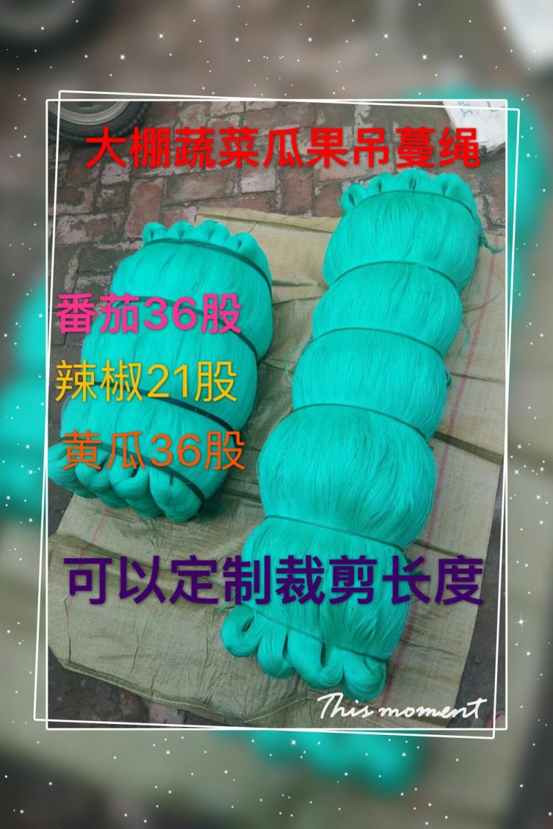 大鹏西红柿吊蔓绳黄瓜西葫芦蔬菜吊秧绳绑蔓绑枝捆扎尼龙绳子