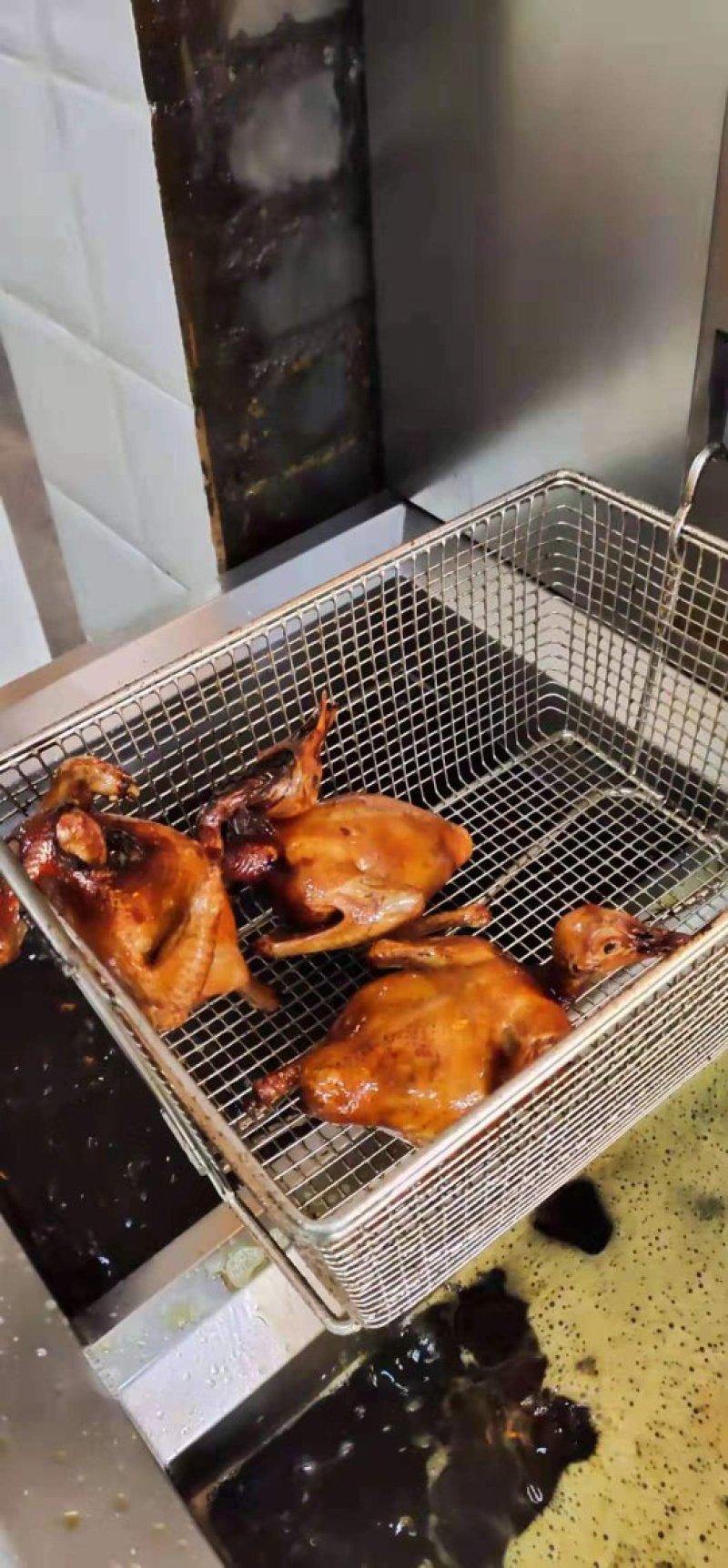 正宗中山石岐乳鸽厂家，已腌制好，半成品，冷冻存放，0损耗
