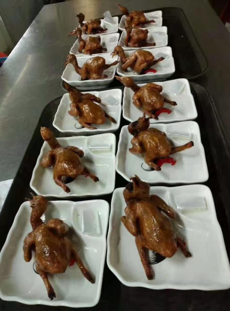 正宗中山石岐乳鸽厂家，已腌制好，半成品，冷冻存放，0损耗
