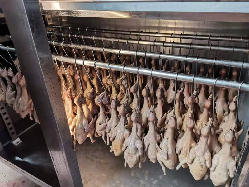 正宗中山石岐乳鸽厂家，已腌制好，半成品，冷冻存放，0损耗