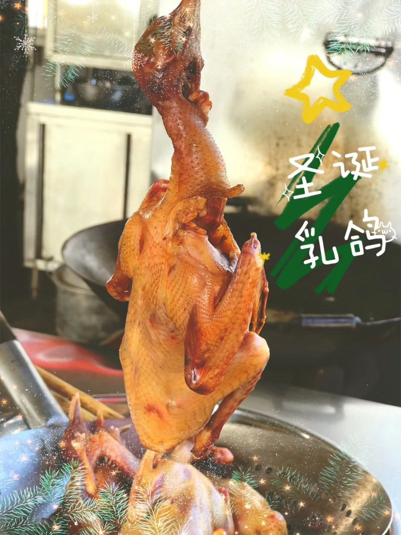 正宗中山石岐乳鸽厂家，已腌制好，半成品，冷冻存放，0损耗