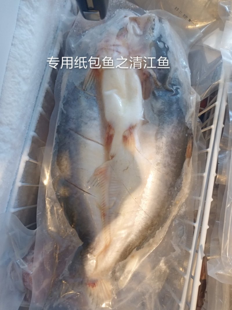 越南进口，（巴沙鱼）湄公鱼，烤鱼食材专用