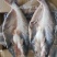 越南进口，（巴沙鱼）湄公鱼，烤鱼食材专用