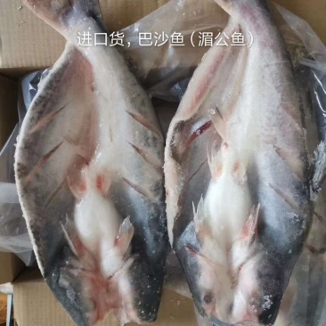 越南进口，（巴沙鱼）湄公鱼，烤鱼食材专用