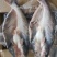 越南进口，（巴沙鱼）湄公鱼，烤鱼食材专用