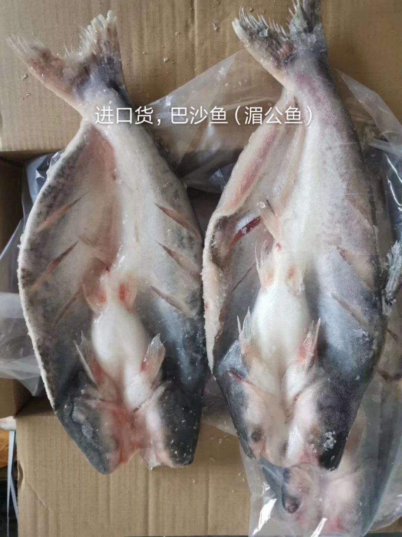 越南进口，（巴沙鱼）湄公鱼，烤鱼食材专用