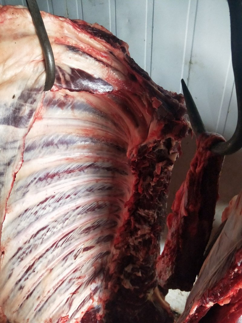鲜牛肉，公牛肉，国产鲜牛肉，整牛肉，鲜牛肉