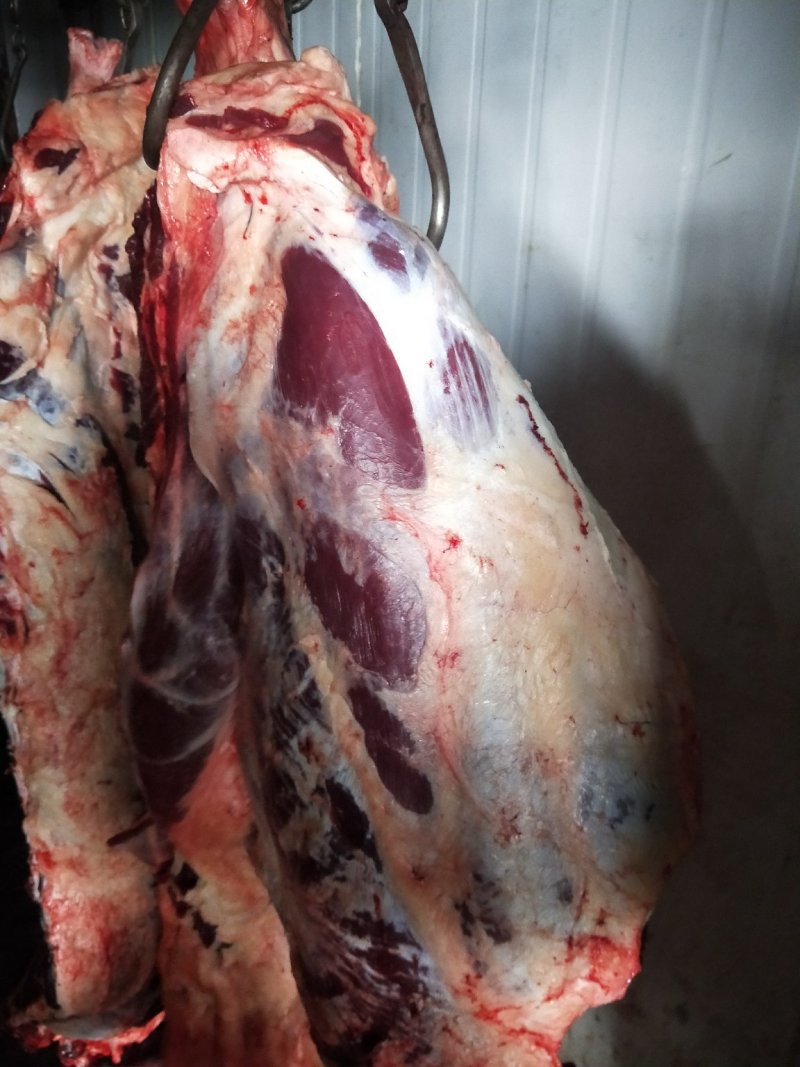 鲜牛肉，公牛肉，国产鲜牛肉，整牛肉，鲜牛肉