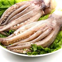 海鲜冷冻鱿鱼须进口对虾冷冻皮皮虾可线上