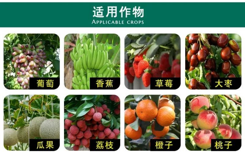 多菌灵花卉植物杀菌剂月季黑斑白粉病多肉烟煤病菌核病叶斑病