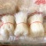 豌豆粉丝火锅粉地摊热卖销售10元三把模式粉丝批发