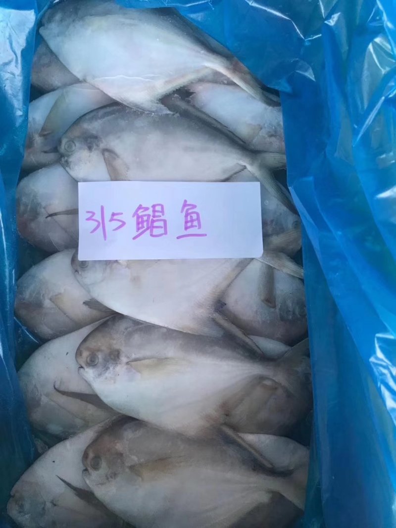 鲳鱼5斤装五斤为一件