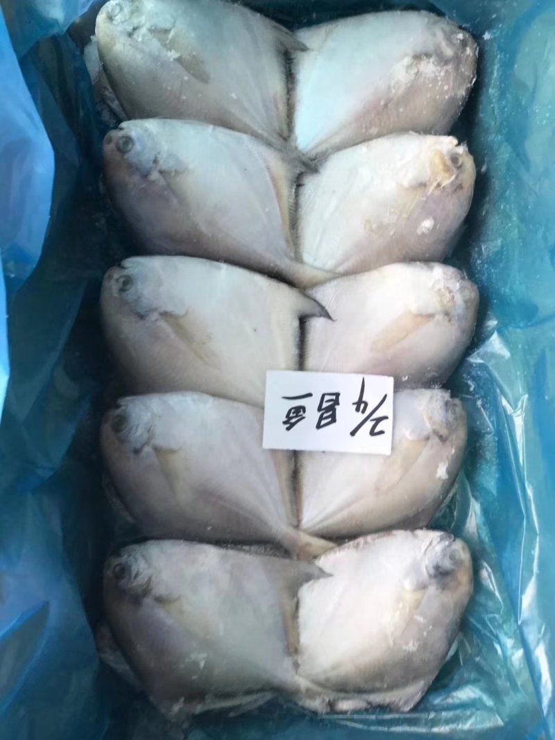鲳鱼5斤装五斤为一件