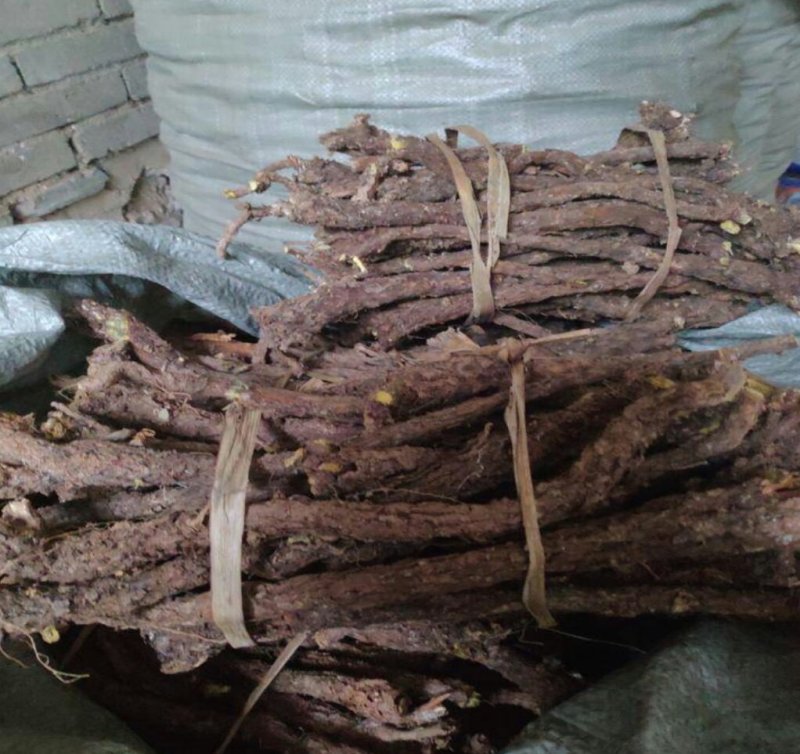 直供优质精选大条，原装统货，