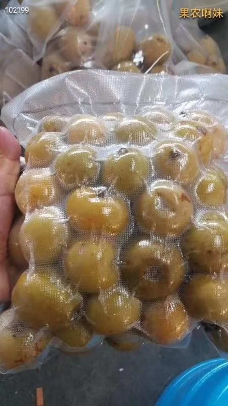 云南酸木瓜