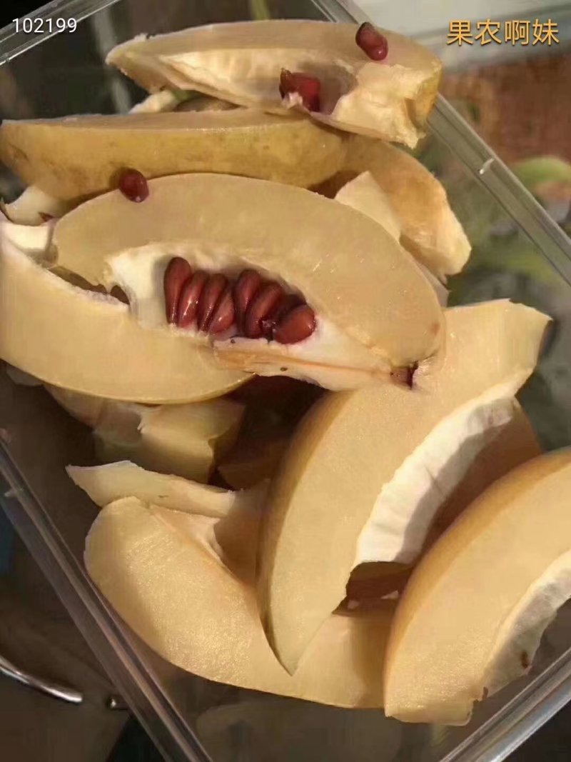 云南酸木瓜