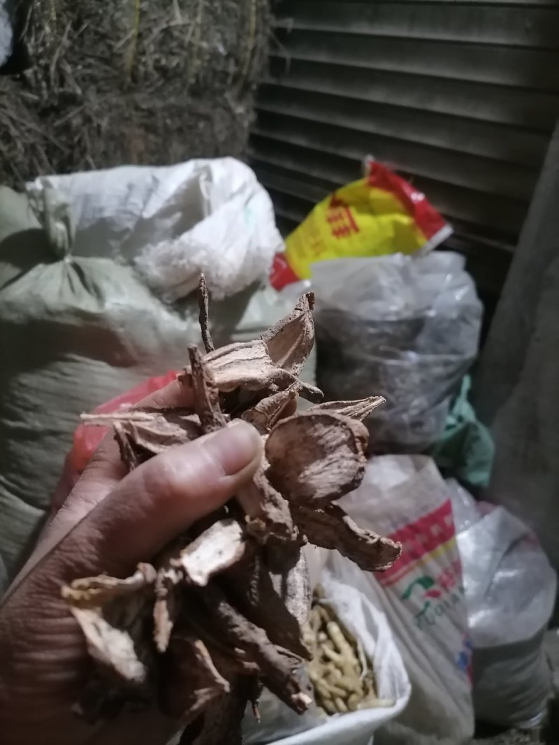 白敛新货零售：批发：一手货源无硫***量大从优