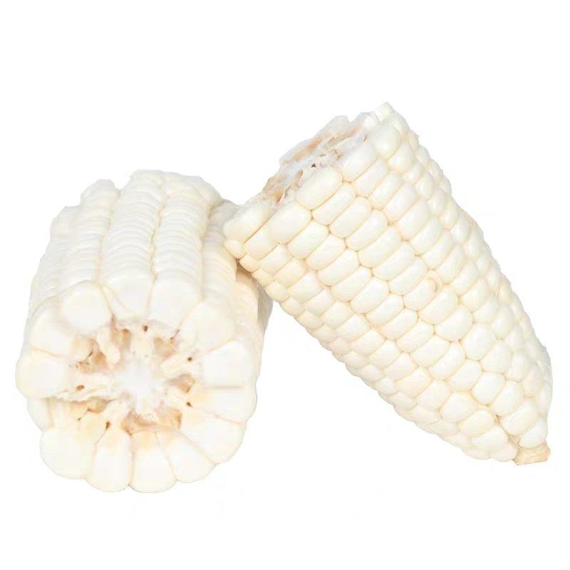 新鲜玉米，贵州农村原产地保证便宜，2020年新鲜玉米