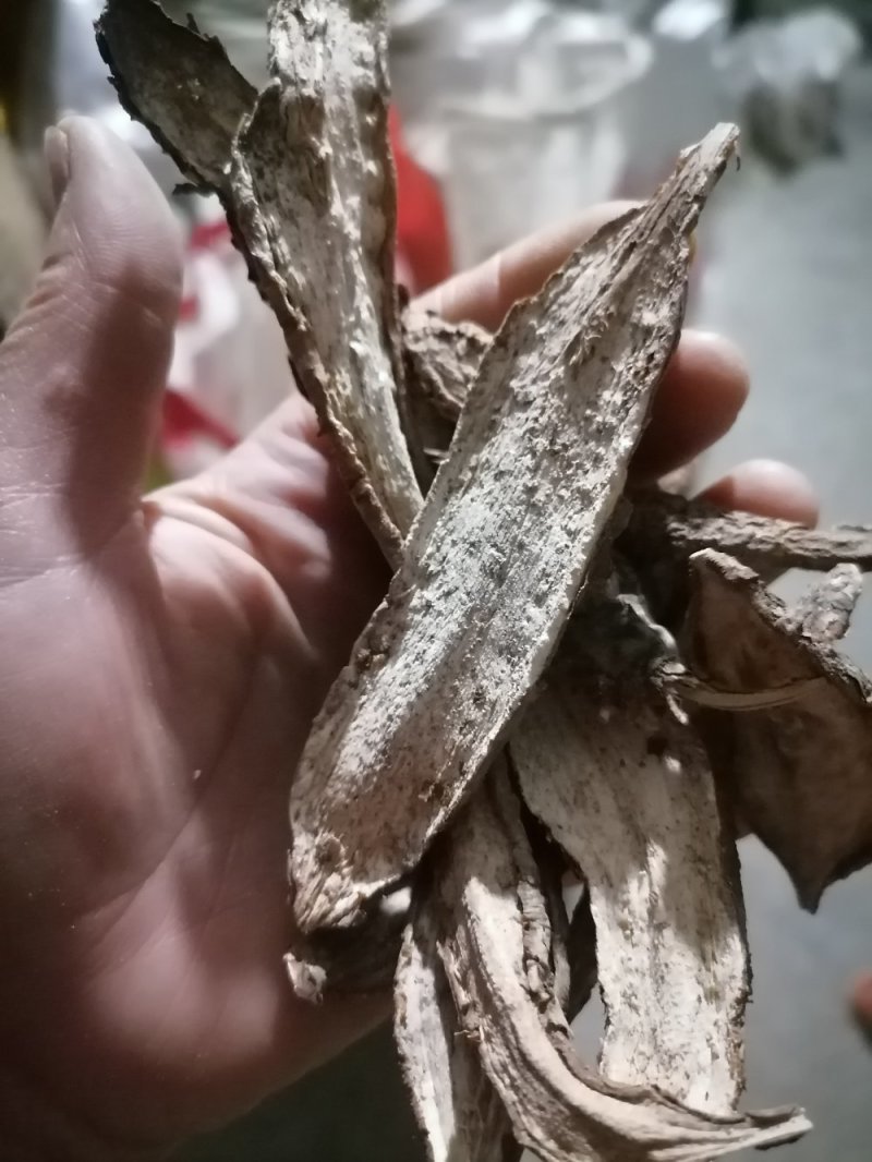 白敛新货零售：批发：一手货源无硫***量大从优