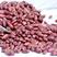 贵州红豆，有大批量货，需要的还可以，便宜点