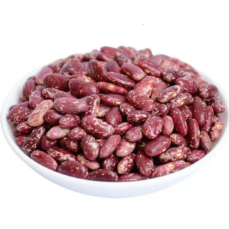贵州红豆，有大批量货，需要的还可以，便宜点