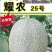 西州蜜25号产地实力代办代收一条龙服务有5年经验以上