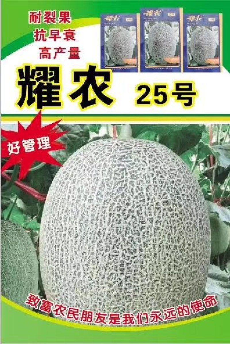 西州蜜25号产地实力代办代收一条龙服务有5年经验以上