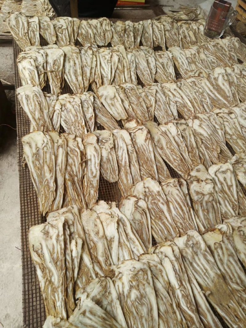 岷县当归，当归片，水洗无硫优质地道药材品质保证