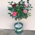 茶花盆栽带花苞发货浓香型五色茶花带土球保湿
