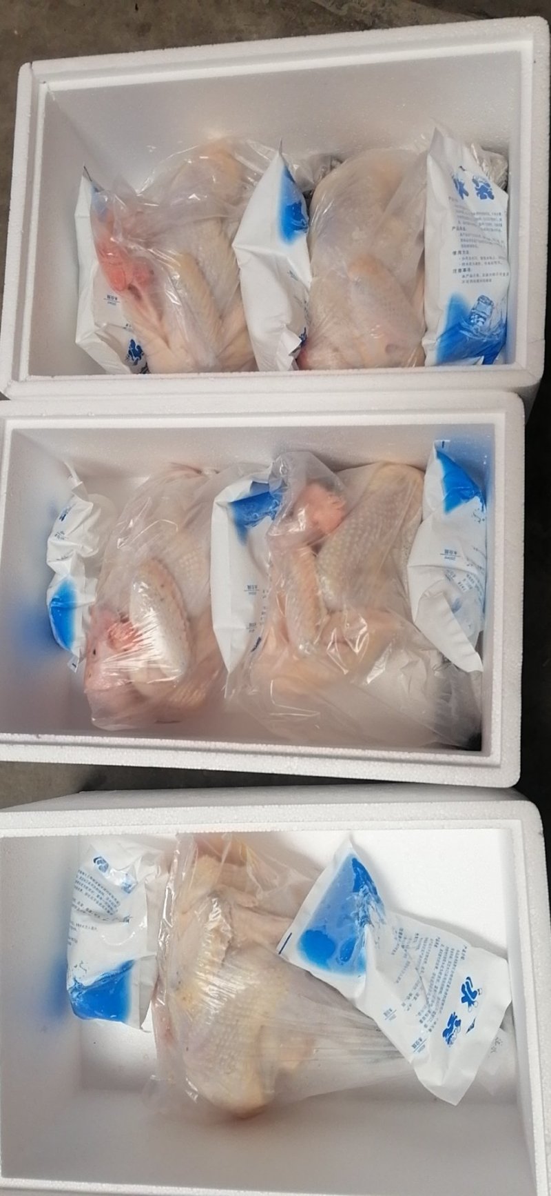 五谷虫子鸡