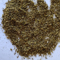 槲寄生寄生沫子批发零售不含邮费诚信经营量大从优支持