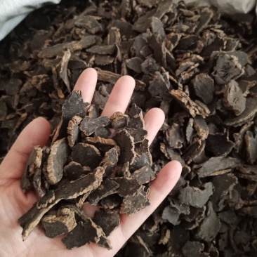 元参无硫玄参中药材各种中药材批发质量保证产地直销