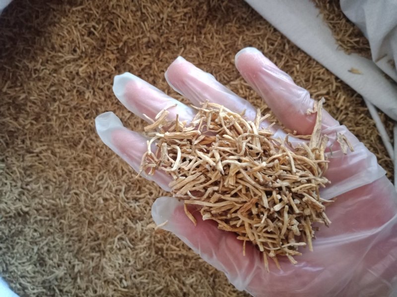 龙胆草东北整支切段儿中药材批发零售各种规格中药材