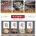 乳香乳香珠生乳香/制乳香各种规格进口货品质保证