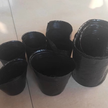 荷花盆盆栽荷花盆荷花专用盆