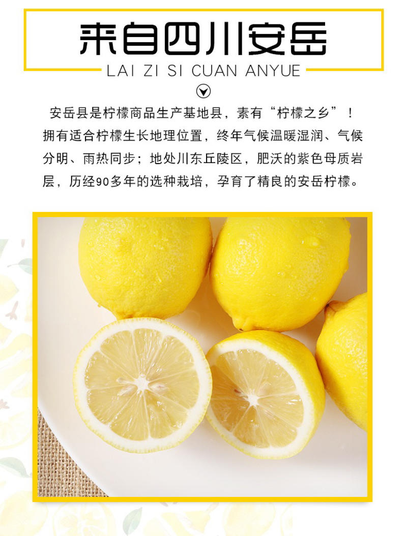 【助农扶贫】新鲜柠檬安岳柠檬秒杀9斤装包邮