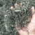 云南省临沧市永德县小勐统梅子箐古树茶