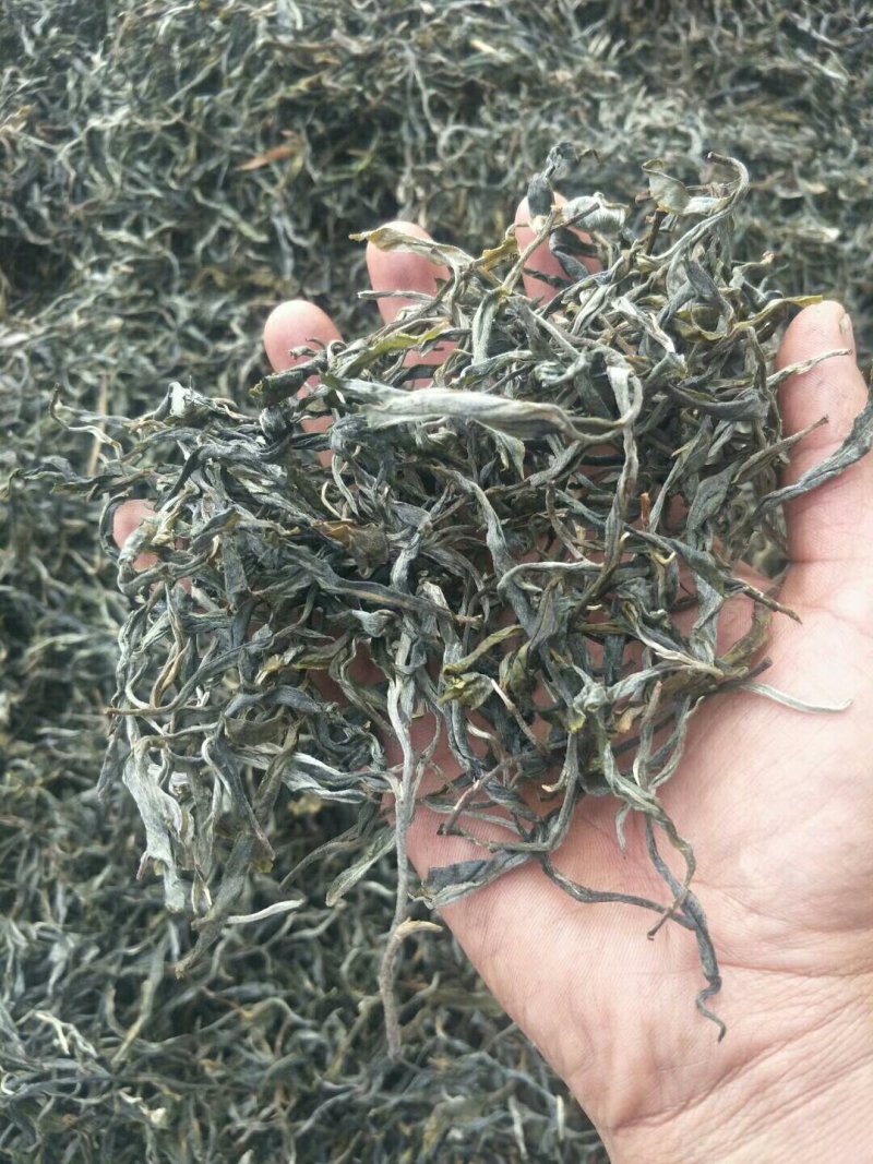 云南省临沧市永德县小勐统梅子箐古树茶