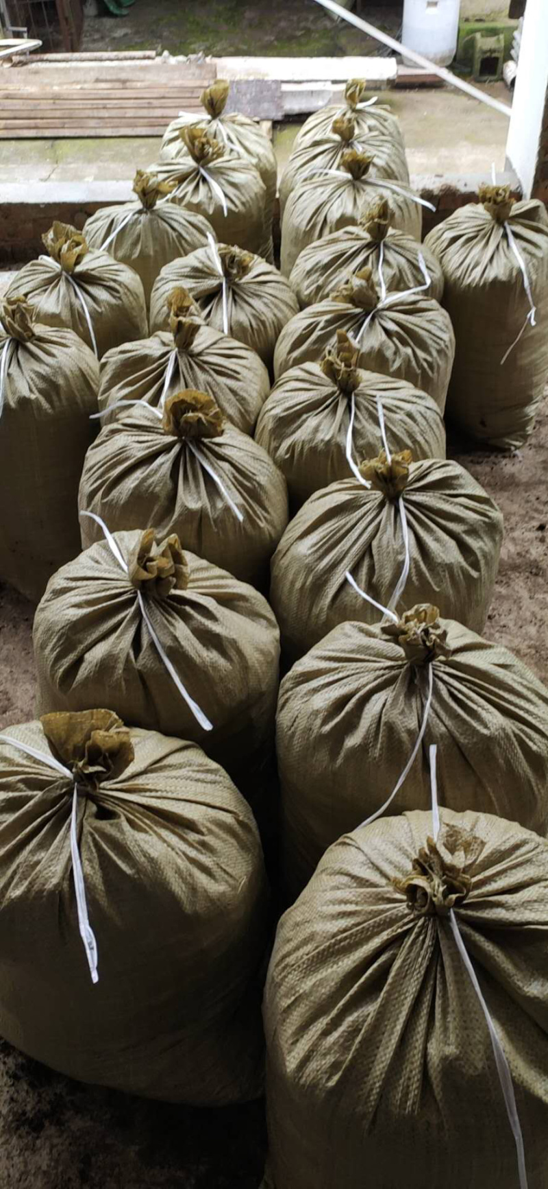 有机纯羊粪禽畜粪便基地直供欢迎采购商选购！