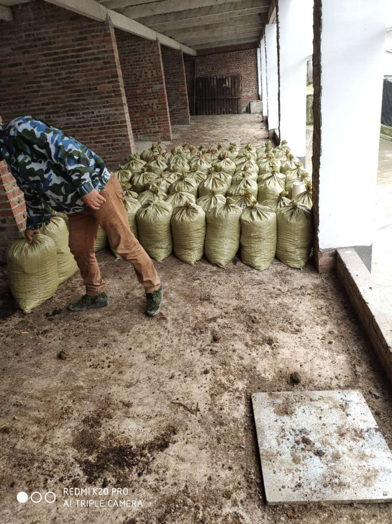 有机纯羊粪禽畜粪便基地直供欢迎采购商选购！