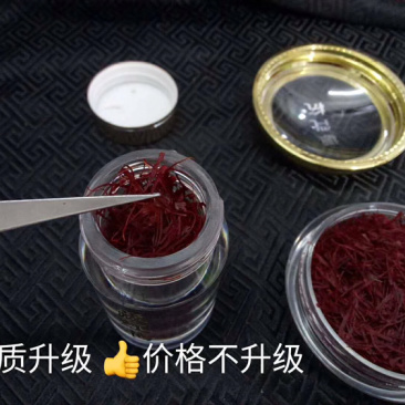 藏红花(各规格有货)